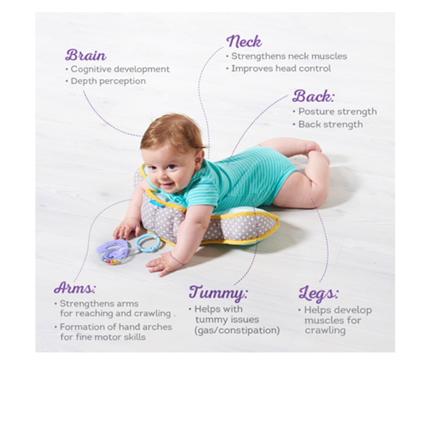 Taf Toys Developmental Pillow